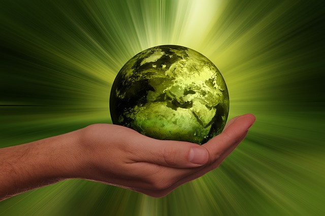 Fyrfadslys og bæredygtighed: Sådan vælger du miljøvenlige alternativer